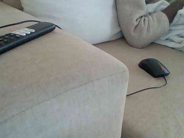 Dollie webcam