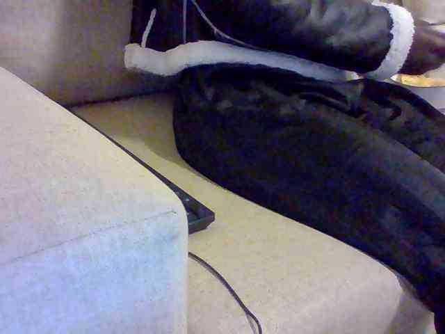 Dollie webcam