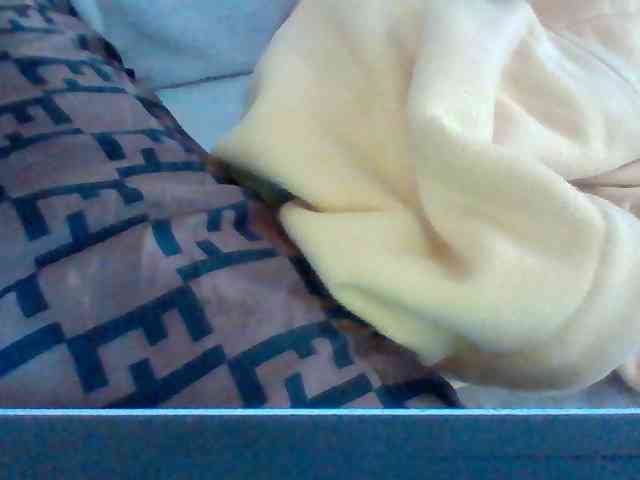 Dollie webcam