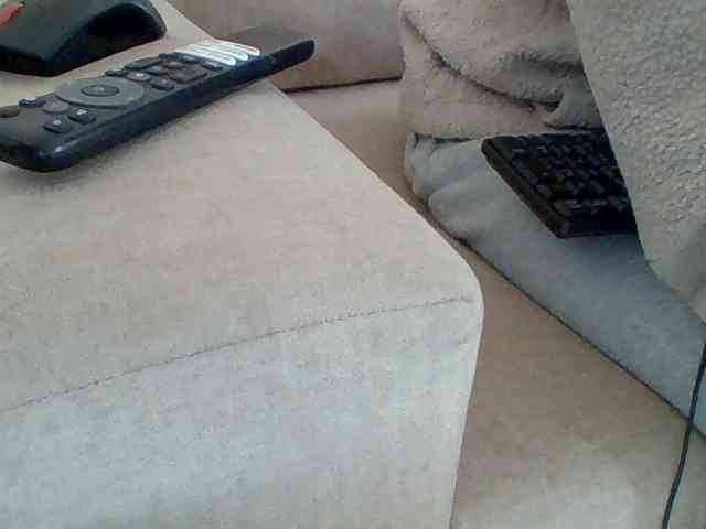 Dollie webcam