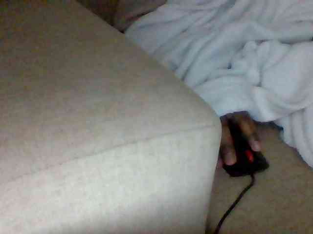 Dollie webcam