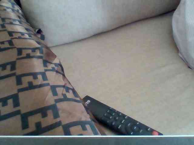 Dollie webcam