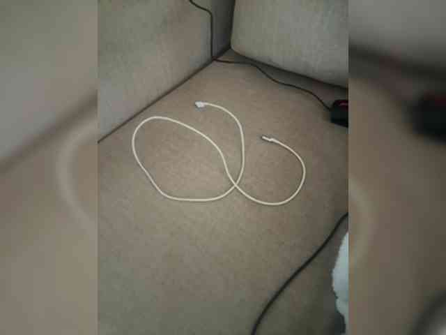 Dollie webcam