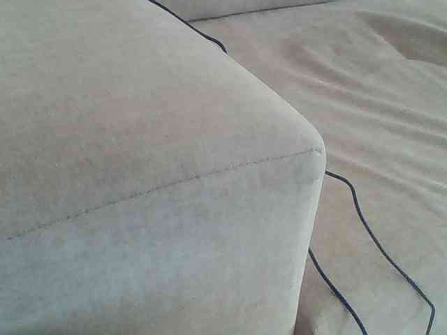 Dollie webcam