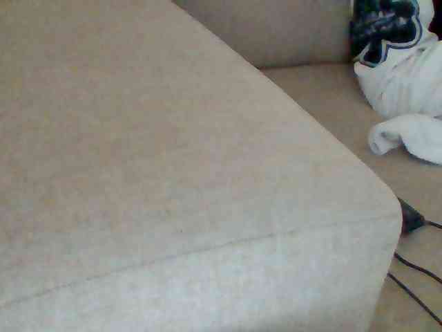 Dollie webcam