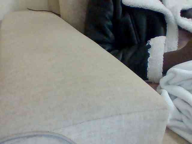 Dollie webcam