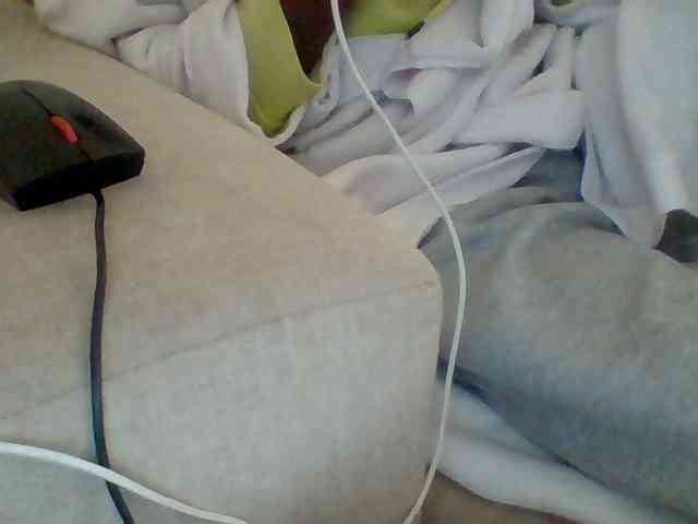 Dollie webcam