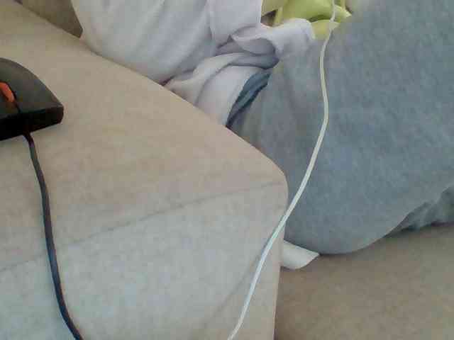 Dollie webcam