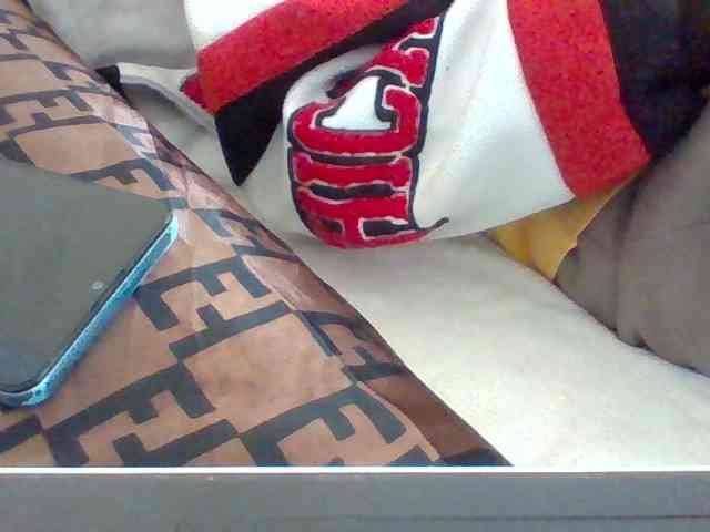 Dollie webcam