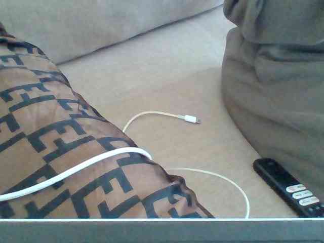 Dollie webcam