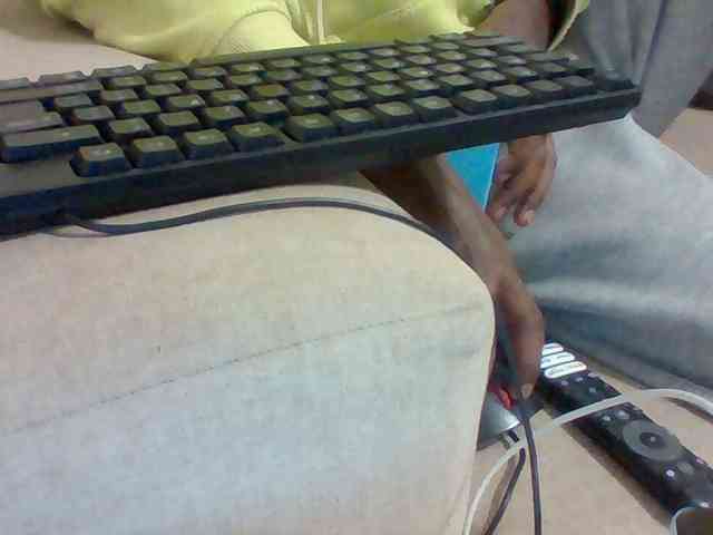 Dollie webcam