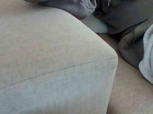 Dollie webcam