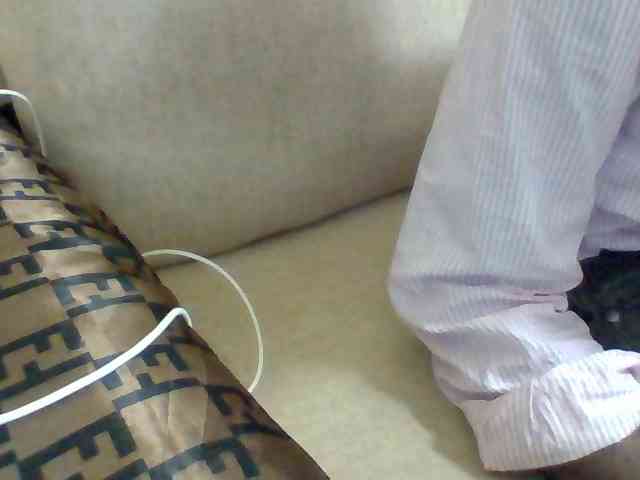 Dollie webcam