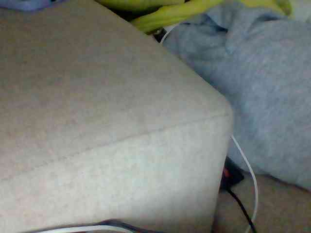Dollie webcam