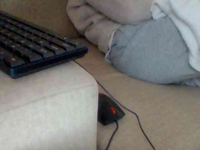 Dollie webcam