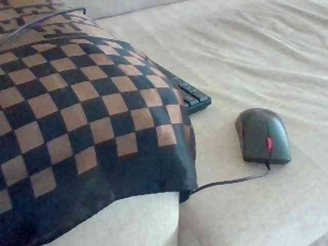 Dollie webcam