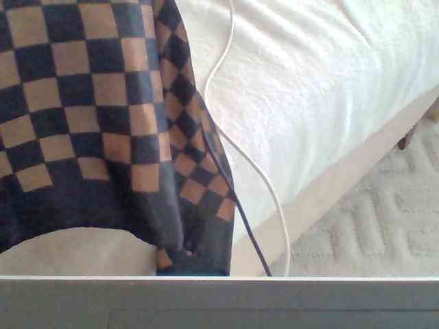 Dollie webcam
