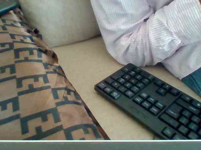 Dollie webcam