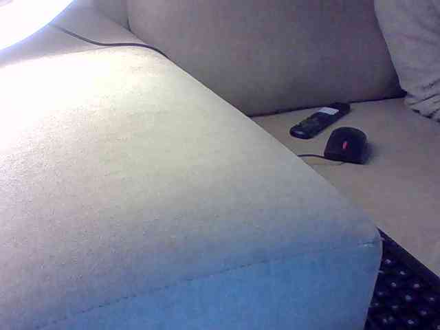 Dollie webcam