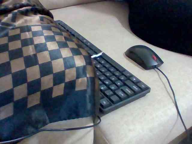 Dollie webcam