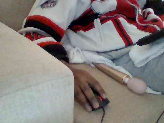 Dollie webcam