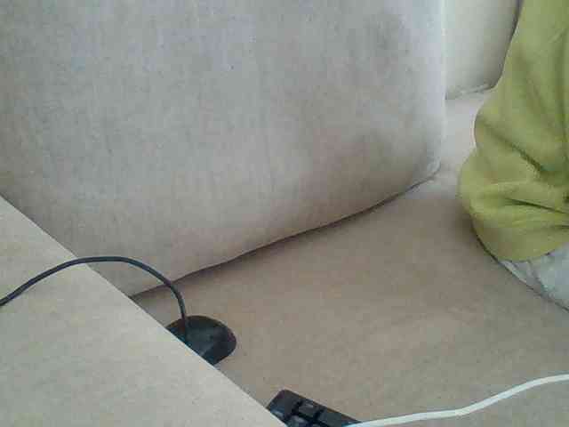 Dollie webcam