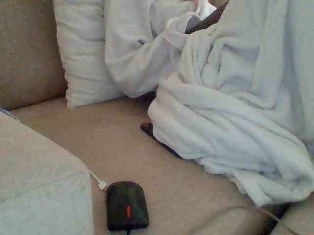 Dollie webcam