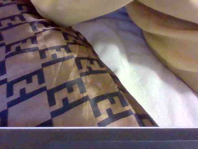 Dollie webcam