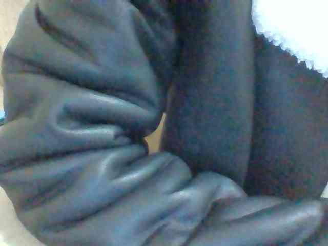 Dollie webcam