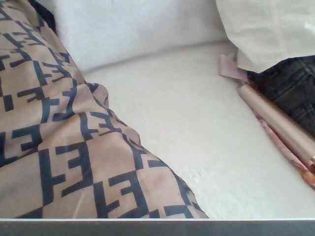 Dollie webcam