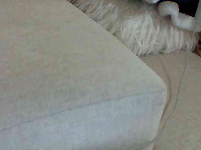 Dollie webcam