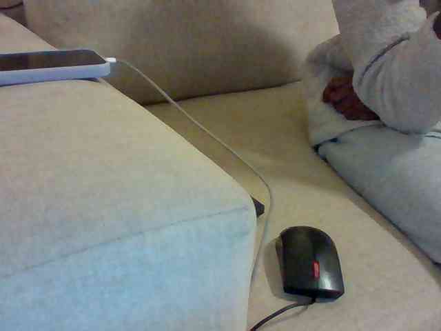 Dollie webcam