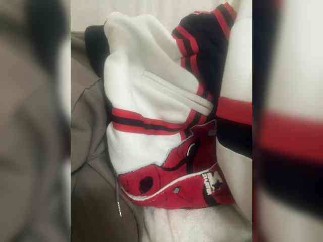 Dollie webcam
