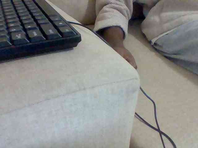 Dollie webcam
