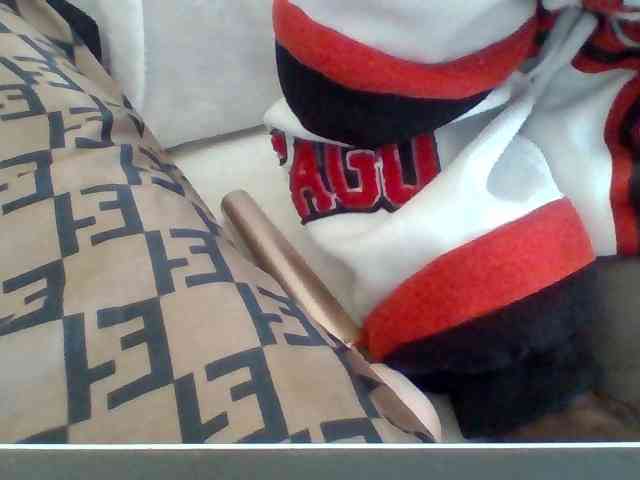 Dollie webcam