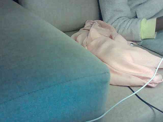 Dollie webcam
