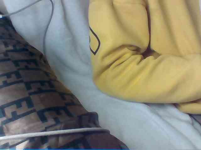 Dollie webcam