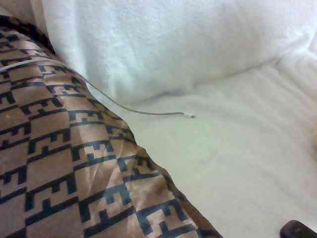 Dollie webcam