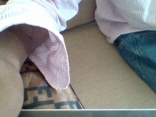 Dollie webcam