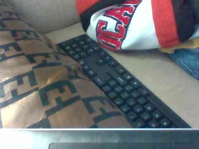 Dollie webcam