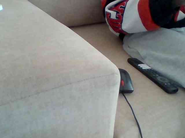 Dollie webcam