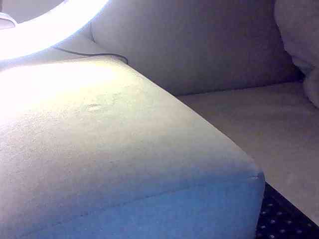Dollie webcam