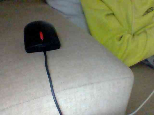 Dollie webcam