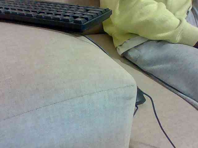 Dollie webcam
