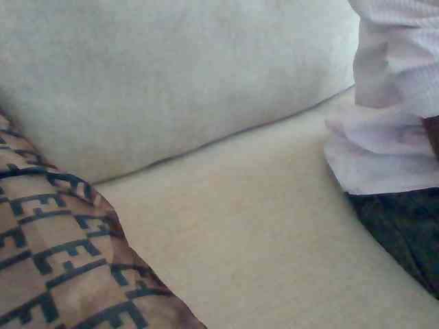 Dollie webcam