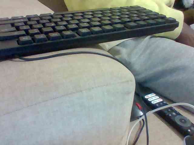 Dollie webcam