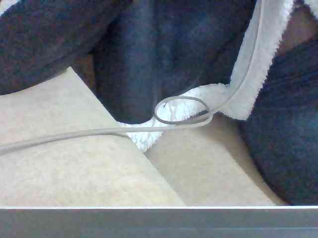 Dollie webcam
