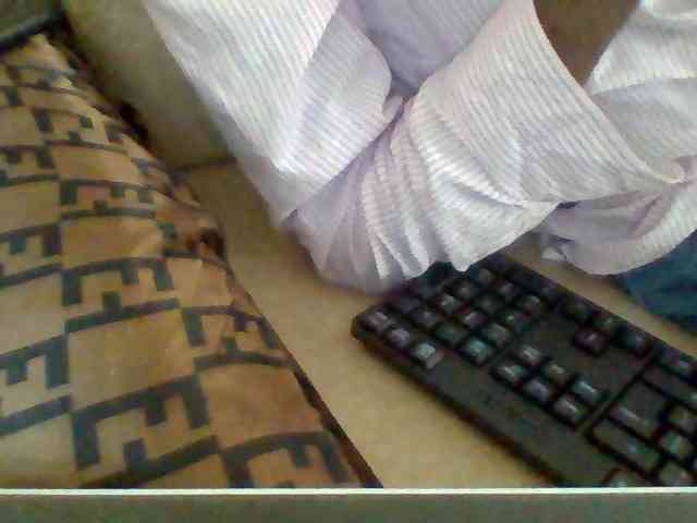 Dollie webcam