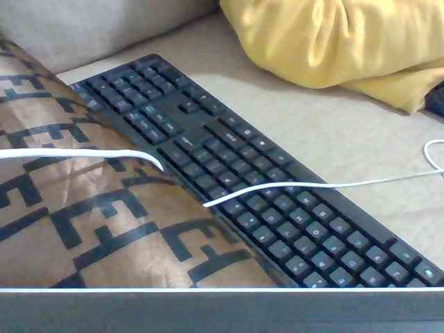 Dollie webcam