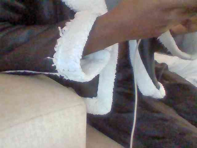 Dollie